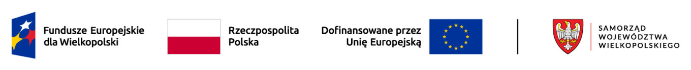 Projekt partnerski